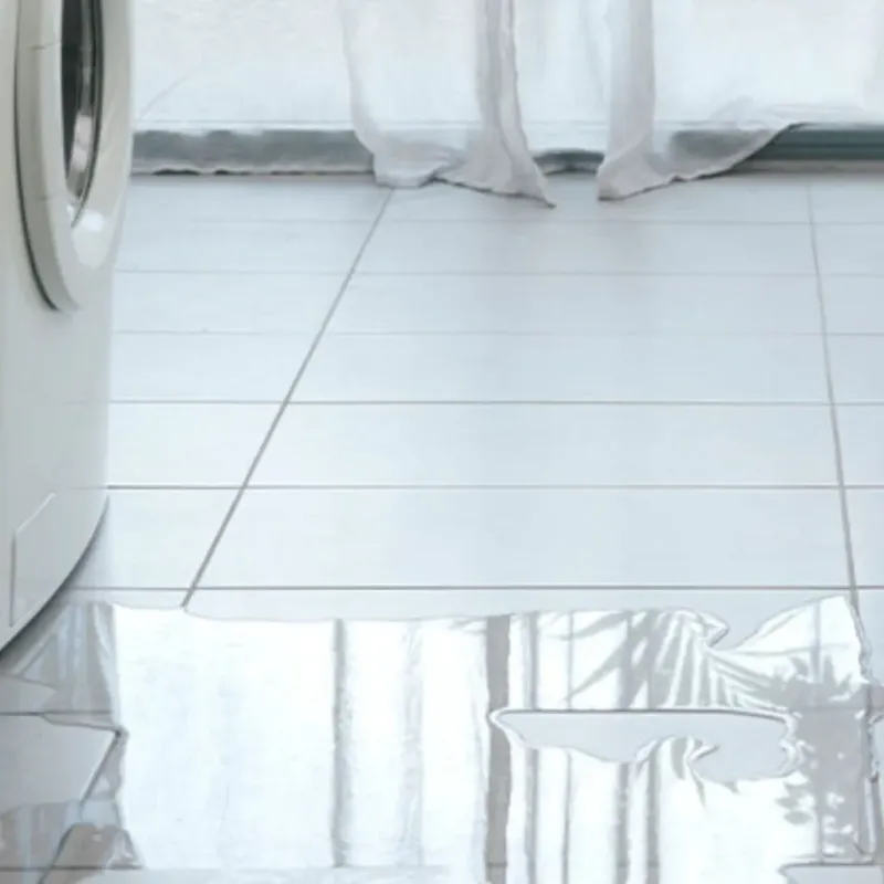 Appliance Leak Cleanup in Green Park, MO