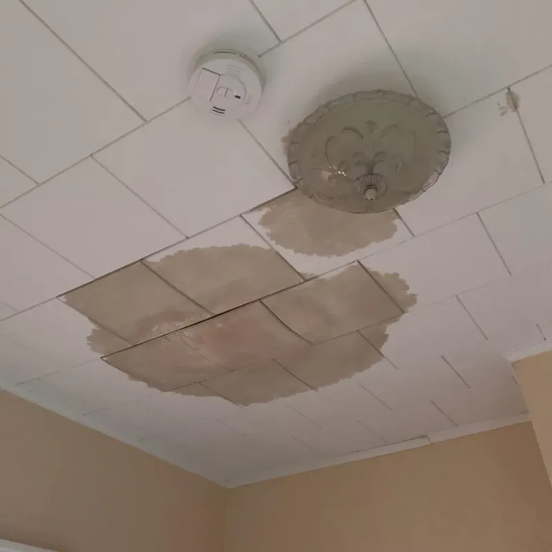 Ceiling Water Damage Repair in Green Park, MO