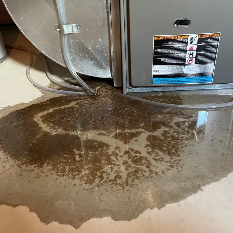 Pipe Burst and Leak Restoration in Green Park, MO