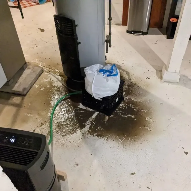Sewage Backup Cleanup Service in Green Park, MO